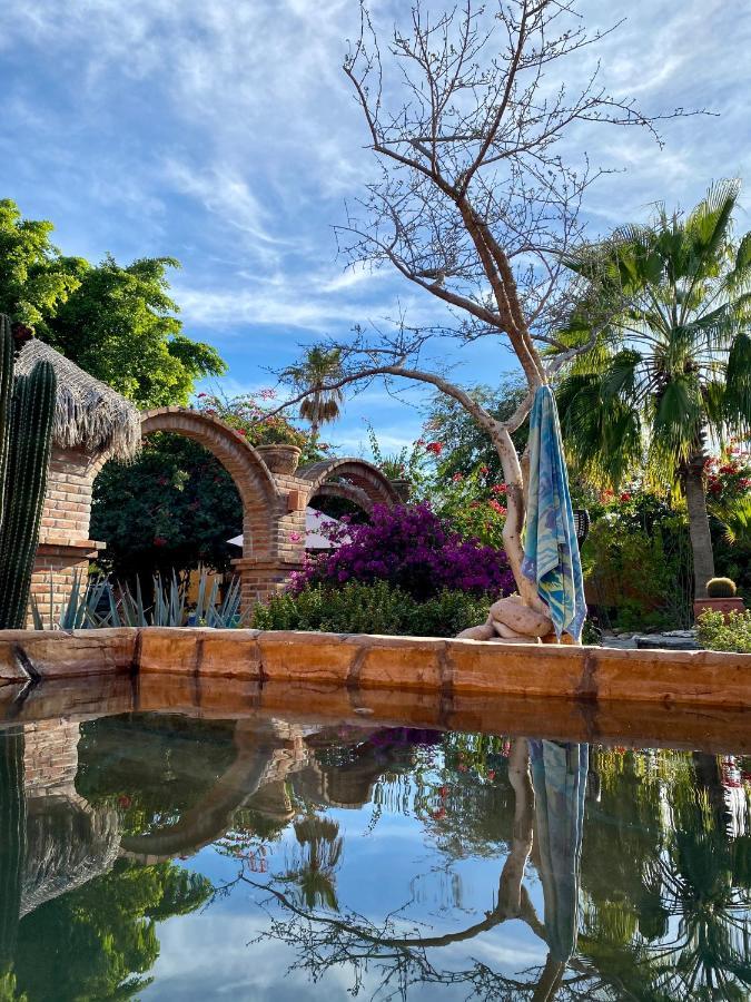 El Centenario Casa Xochitl Bed & Breakfast エクステリア 写真
