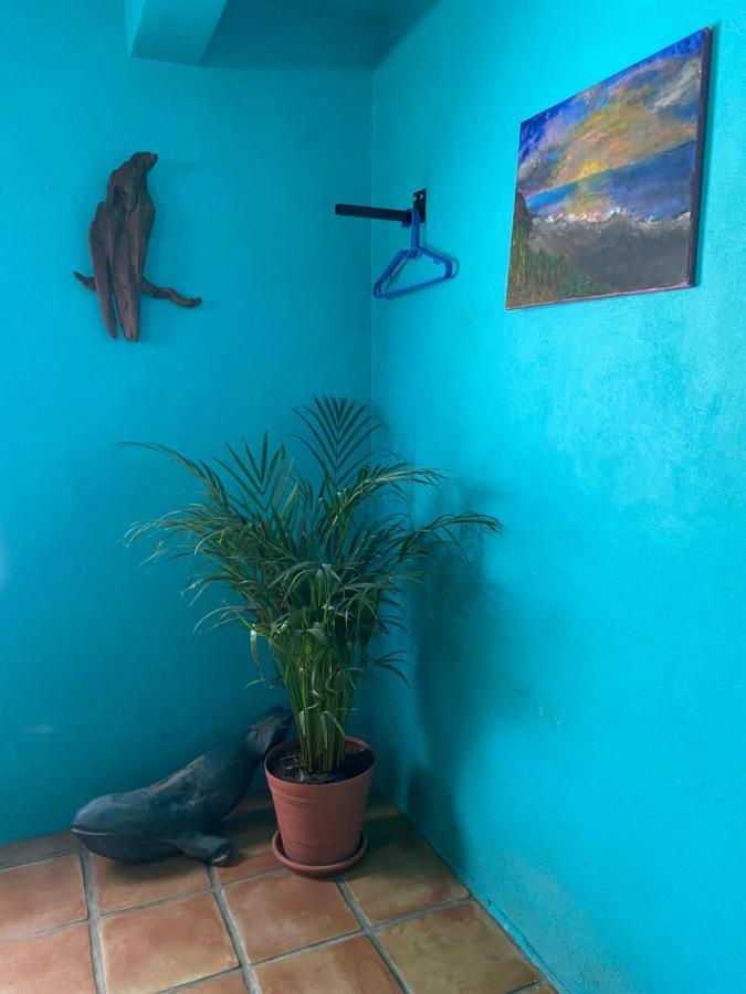 El Centenario Casa Xochitl Bed & Breakfast エクステリア 写真