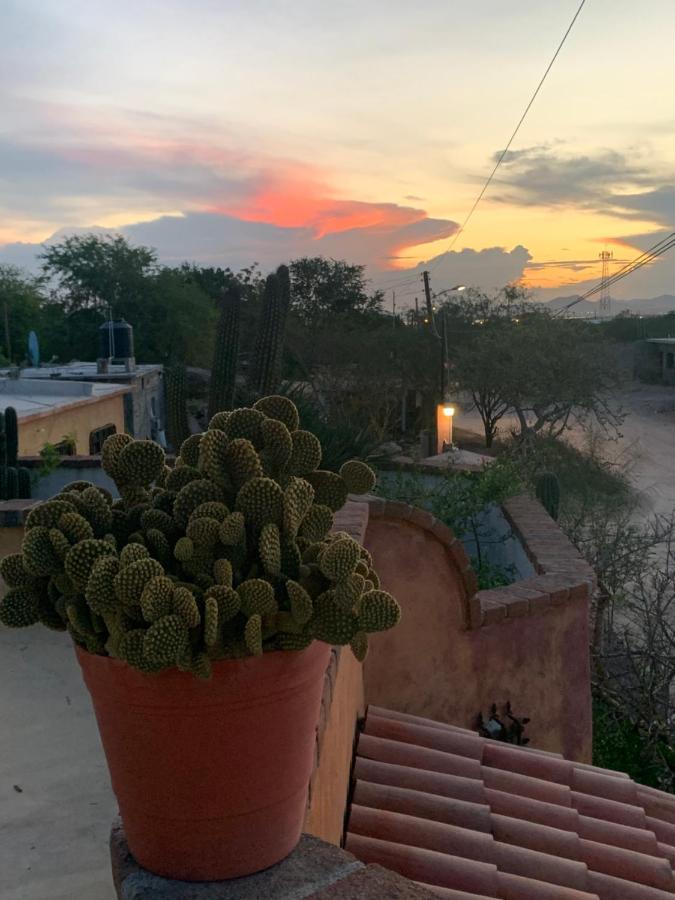 El Centenario Casa Xochitl Bed & Breakfast エクステリア 写真